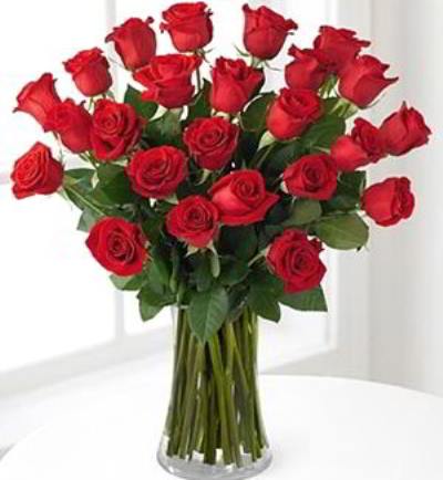 Parsippany Florist | 24 Red Roses