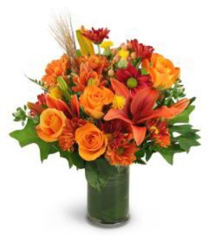 Parsippany Florist | Autumn Beauty