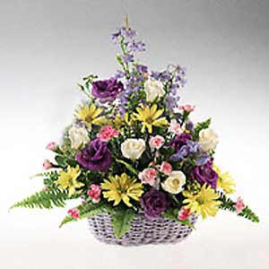 Parsippany Florist | Delphinium Delight