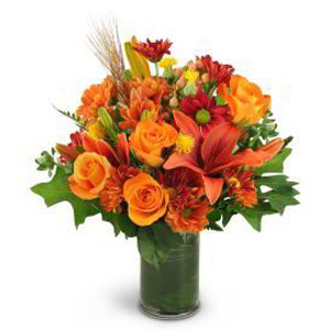 Parsippany Florist | Autumn Beauty