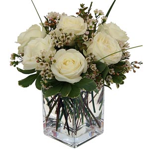  | 6 White Roses