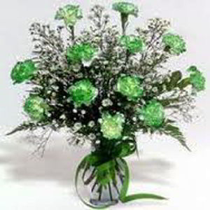 Parsippany Florist | Dz Green Carnations