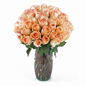 Parsippany Florist | 36 Peach Roses