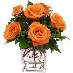 Parsippany Florist | 6 Orange Roses