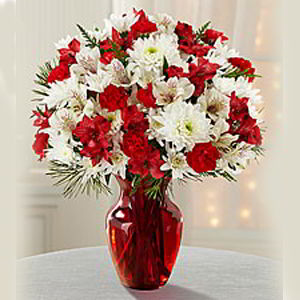 Parsippany Florist | Christmas Joy